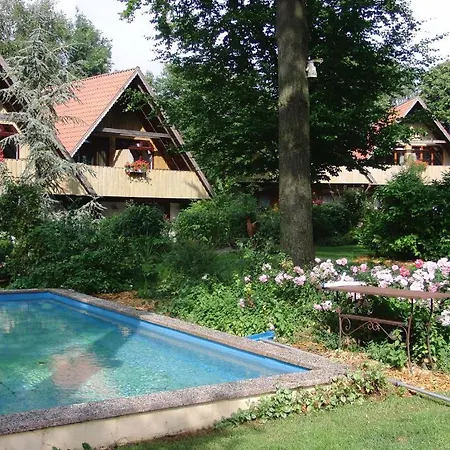 Otel Pronstorfer Krug 3*