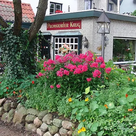 Pronstorfer Krug Otel Pronstorf