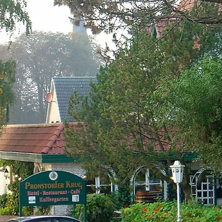 Otel Pronstorfer Krug